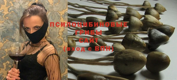 не бодяженный Саяногорск